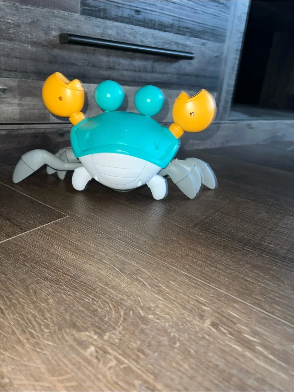 Dog Crab Toy - Teal and Yellow